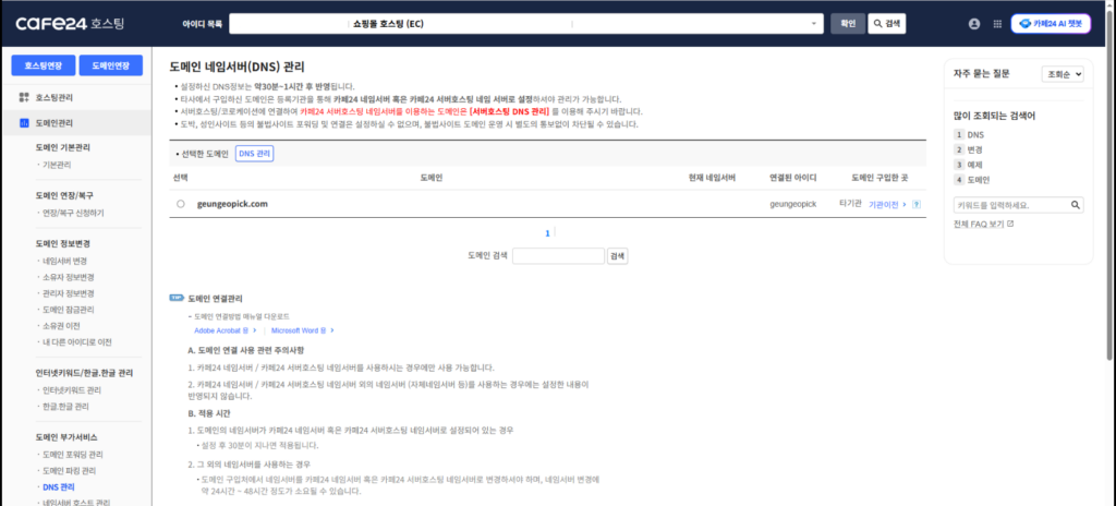 카페24에서 구글 서치콘솔 TXT 인증을 설정하는 DNS 관리 화면