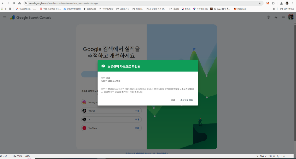 구글 서치콘솔 도메인 소유권 확인 완료 화면